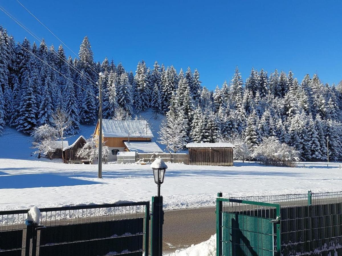 Ferienwohnungen Blockhaus - Zwergenhaeusl Gruenau Im Almtal Luaran gambar
