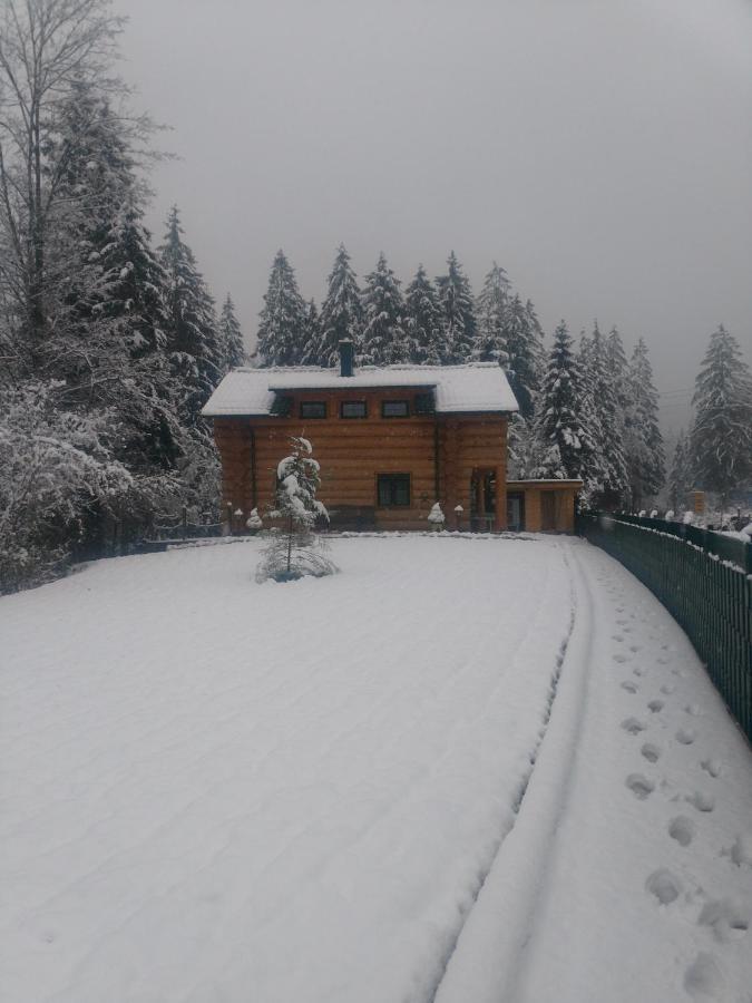 Ferienwohnungen Blockhaus - Zwergenhaeusl Gruenau Im Almtal Luaran gambar
